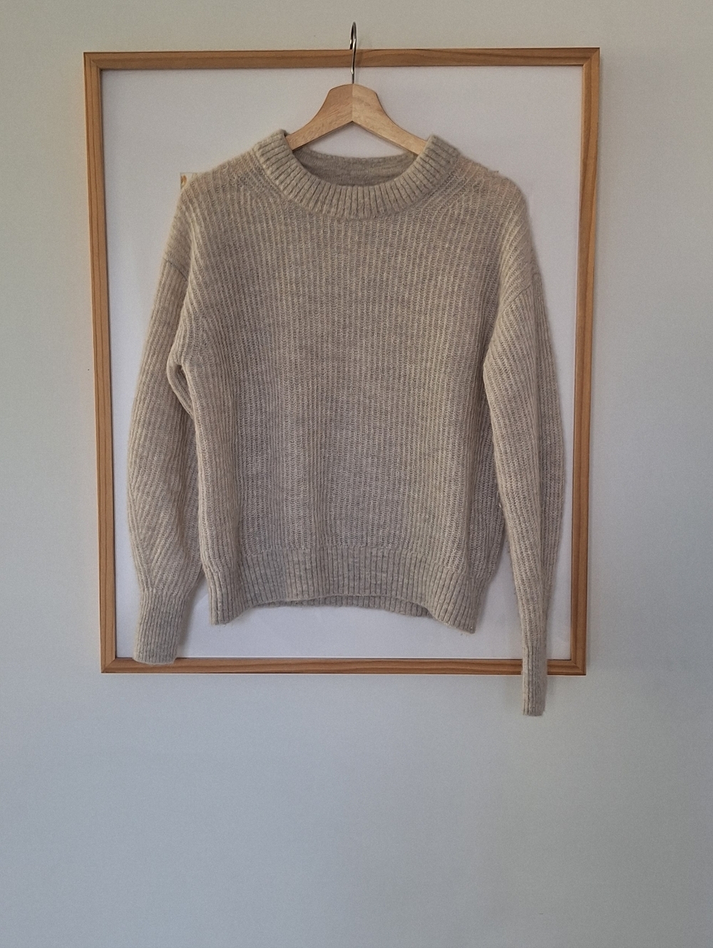 Everlane Cocoon Crew Alpaca